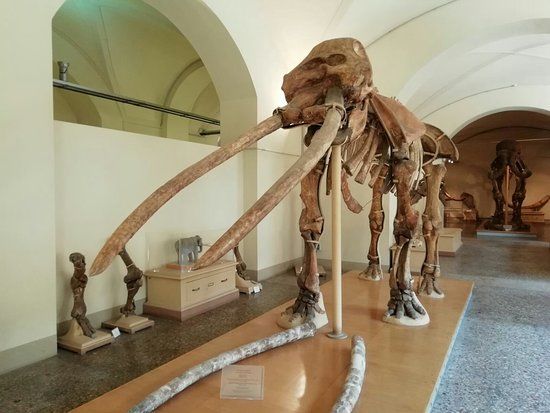 Museo di Storia Naturale